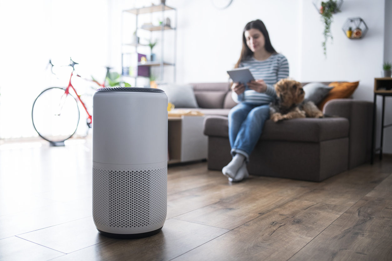 Tips for Choosing the Ideal Portable Room Air Cleaner – AHAM Consumer Blog